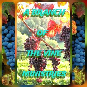 A Branch of The Vine Ministries has a Passion to bring us Back to the Word of God and us Living Near to God