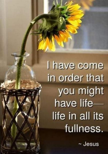 LIFE IN ALL ITS FULNESS